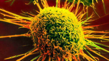 cancer drug