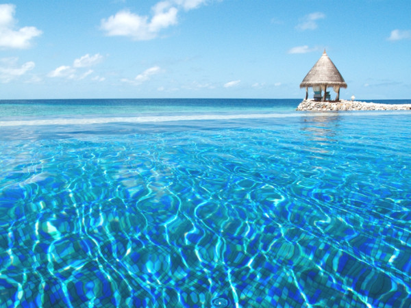 Luxurious Vivanta by Taj Coral Reef, Maldives (1)