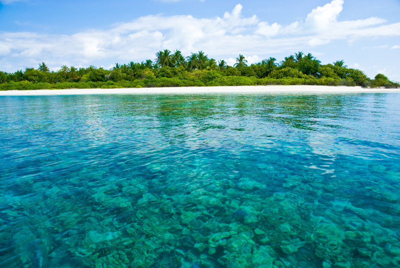 Coco Palm Dhuni Kolhu.