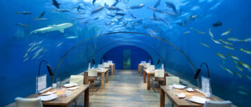 Conrad Maldives Hotel