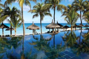mauritius palm justelite
